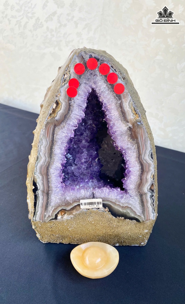 dong-thach-anh-tim-cong-sinh-brazil-7a-677kg-cao-235-ngang-15-sau-15-cm-477054