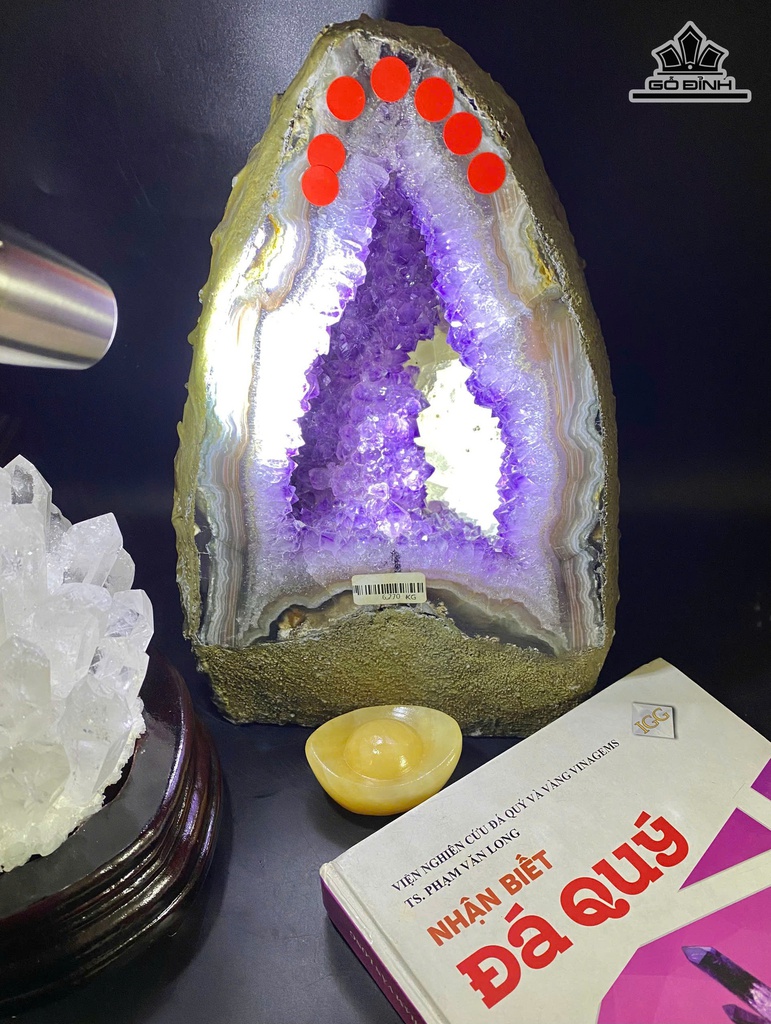 dong-thach-anh-tim-cong-sinh-brazil-7a-677kg-cao-235-ngang-15-sau-15-cm-477058