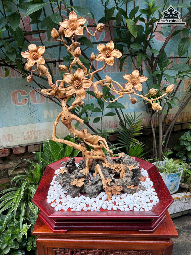 chau-hoa-go-po-mu-cao-150-ngang-50-sau-38-cm-than-cay-re-ca-chit-chau-go-huong-khong-don-cao-70-ngang-50-sau-38-cm-477134