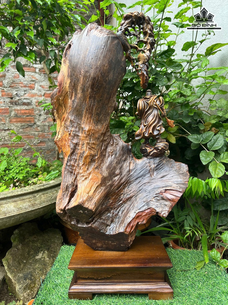 tuong-quan-cong-go-bach-xanh-cao-65-ngang-35-sau-16-cm-477405