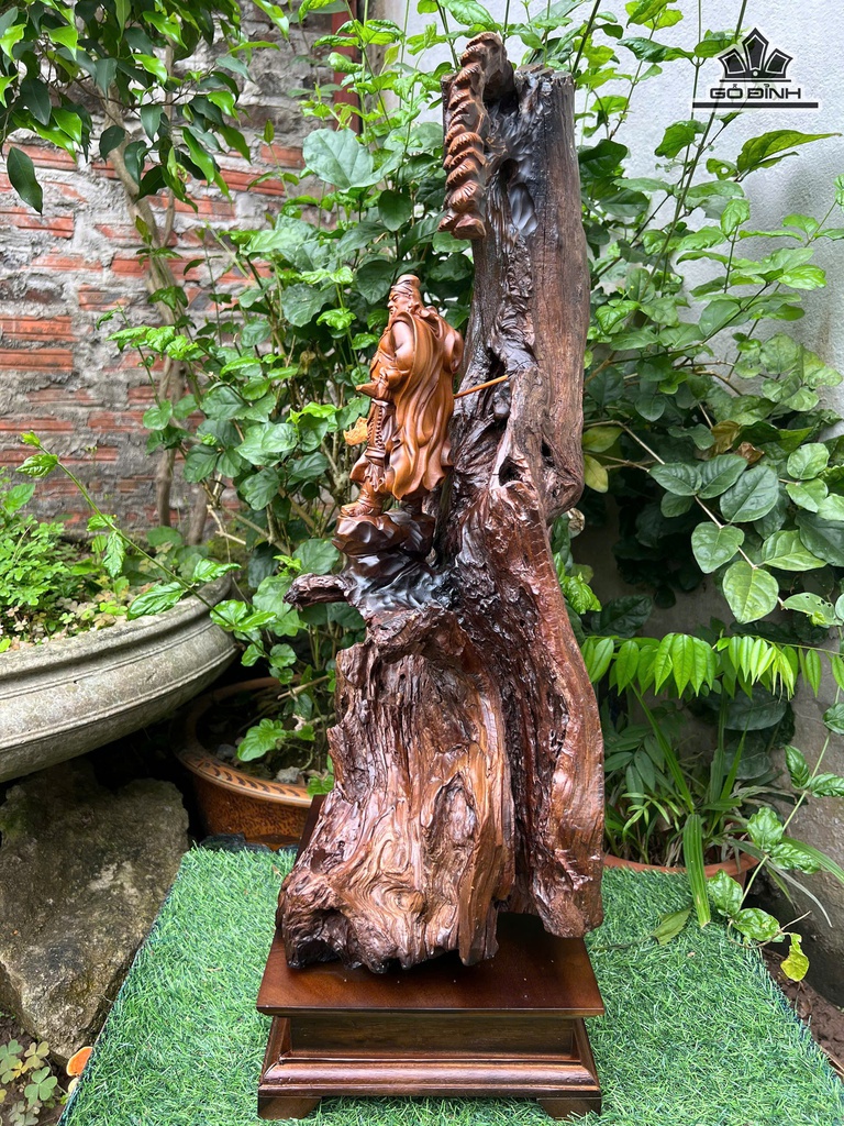 tuong-quan-cong-go-bach-xanh-cao-62-ngang-31-sau-22-cm-477410