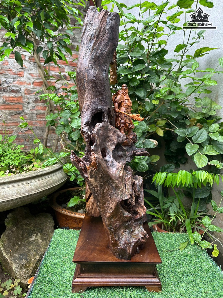 tuong-quan-cong-go-bach-xanh-cao-62-ngang-31-sau-22-cm-477412