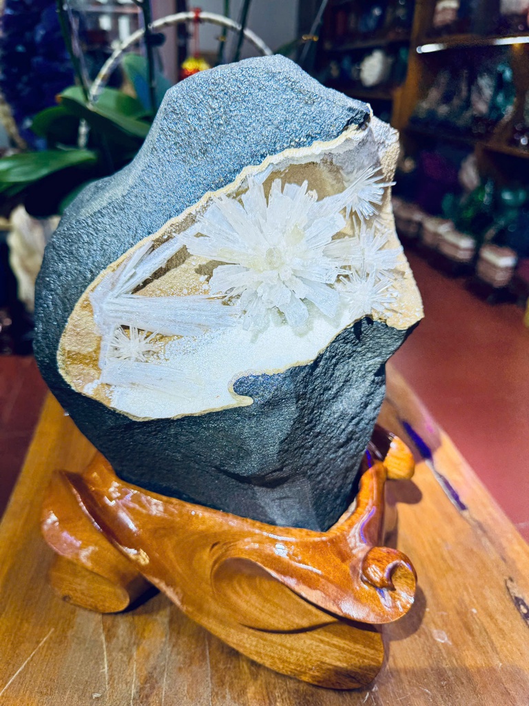 tac-pham-hoa-uu-dam-cao-ca-de-30-ngang-18-cm-75kg-477528