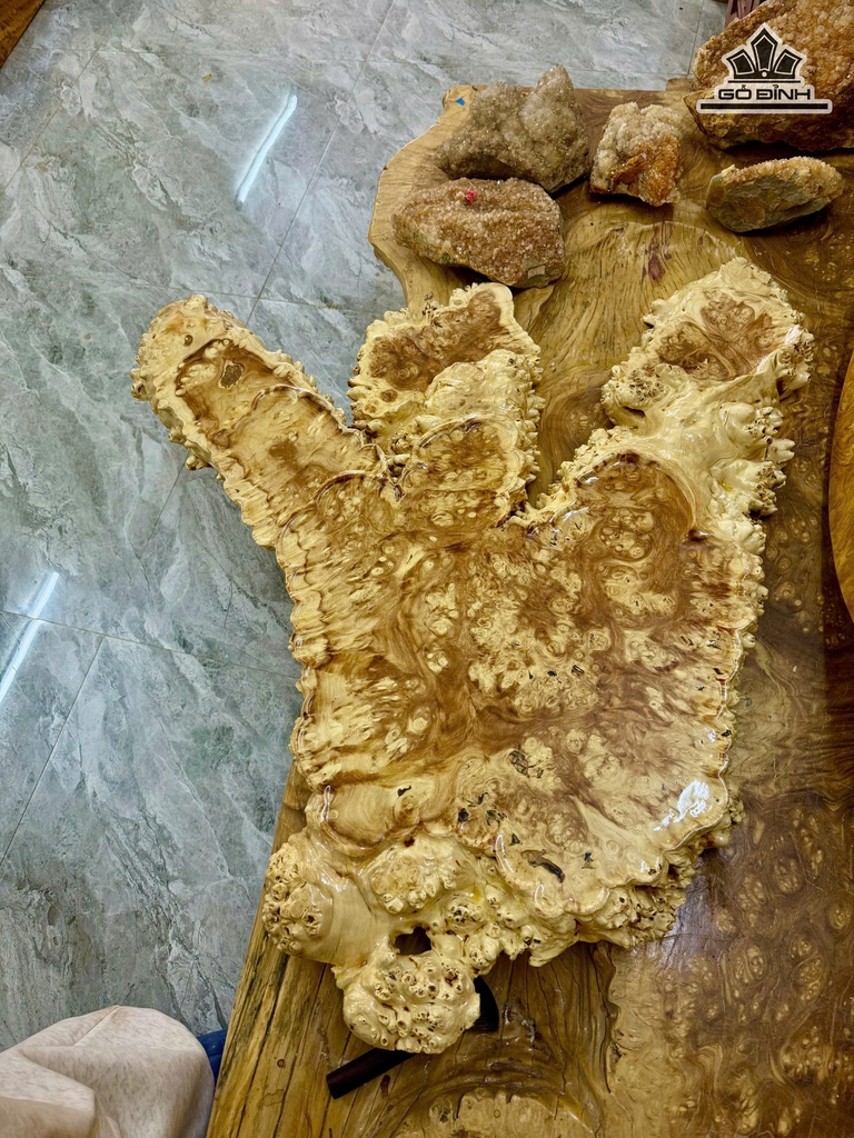 khay-tra-go-nu-nghien-kich-thuoc-80x50x6-cm-477598