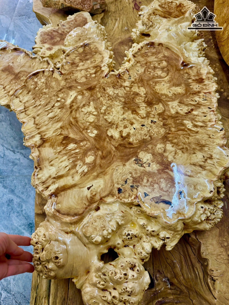 khay-tra-go-nu-nghien-kich-thuoc-80x50x6-cm-477599