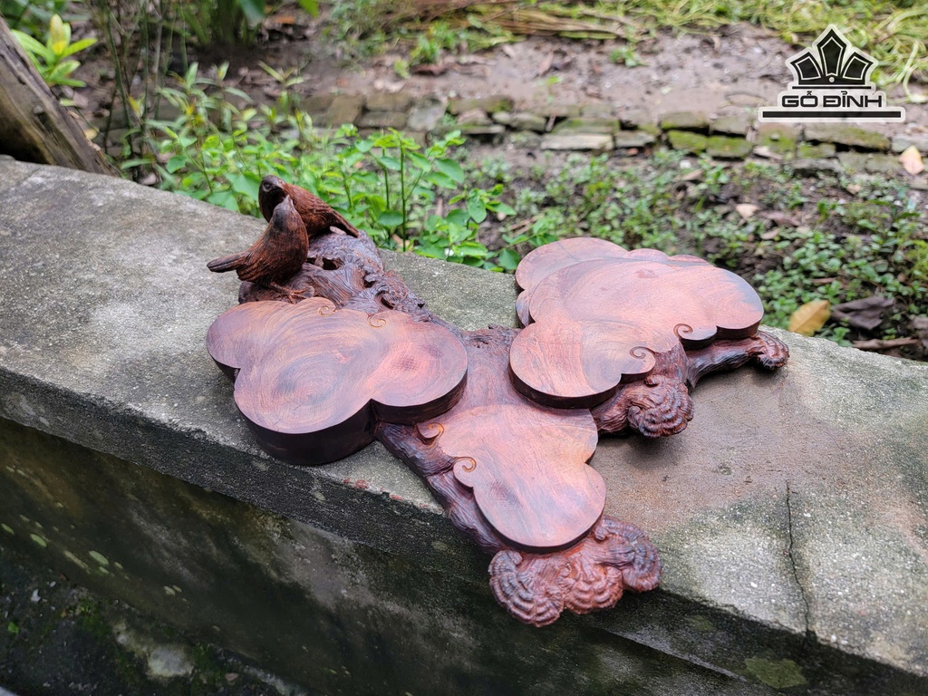 khay-tra-uyen-uong-go-trac-kich-thuoc-10x37x33-cm-477690