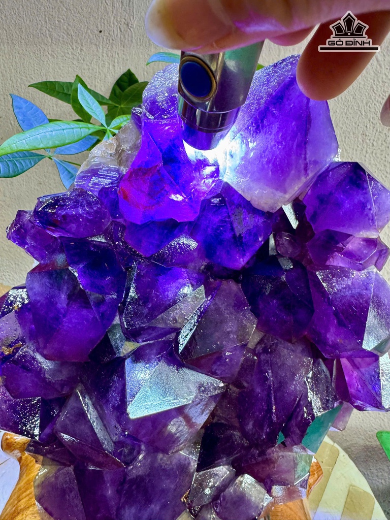 tac-pham-da-thach-anh-tim-cao-38-ngang-20-cm-112kg-ca-de-478161