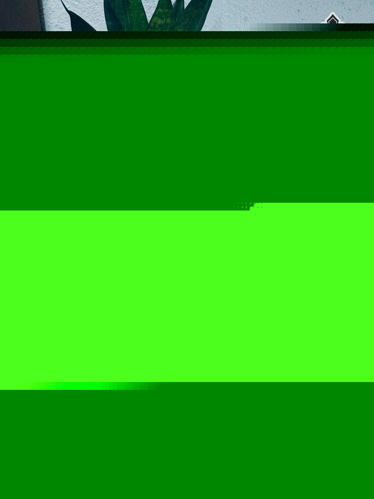 tac-pham-hoa-cuc-hoa-thach-cao-22-ngang-13-cm-09kg-ca-de-478192