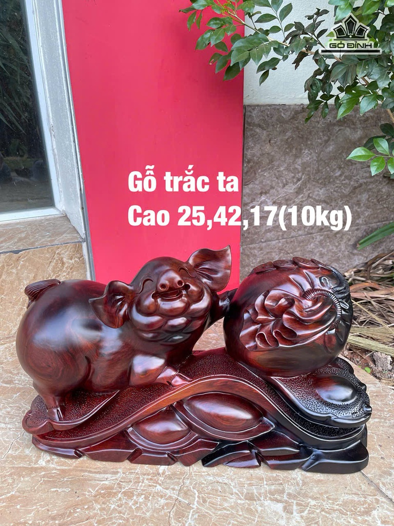 tuong-heo-go-trac-cao-25-ngang-42-sau-17-cm-10kg-478406