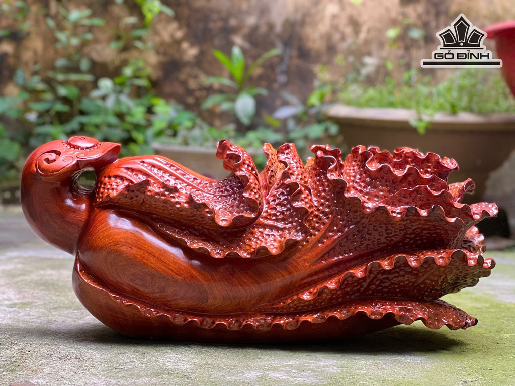 bap-cai-trang-tri-go-huong-cao-21-ngang-50-sau-20-cm-10kg-478609