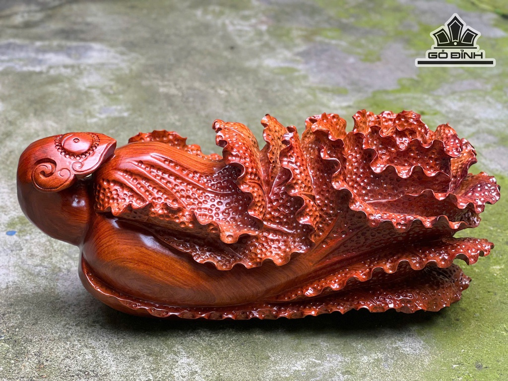 bap-cai-trang-tri-go-huong-cao-21-ngang-50-sau-20-cm-10kg-478610