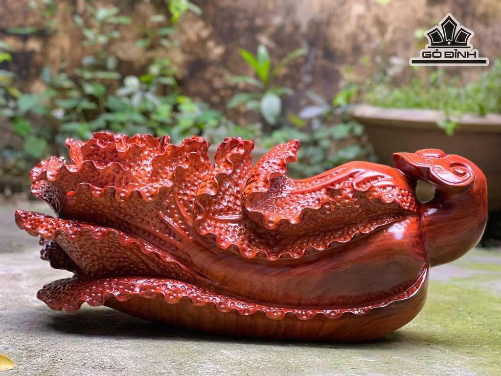 bap-cai-trang-tri-go-huong-cao-21-ngang-50-sau-20-cm-10kg-478611