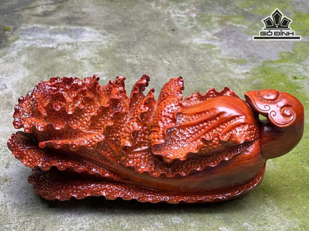 bap-cai-trang-tri-go-huong-cao-21-ngang-50-sau-20-cm-10kg-478612