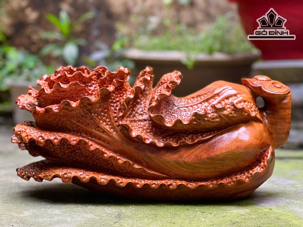 bap-cai-trang-tri-go-huong-cao-23-ngang-51-sau-23-cm-12kg-478619