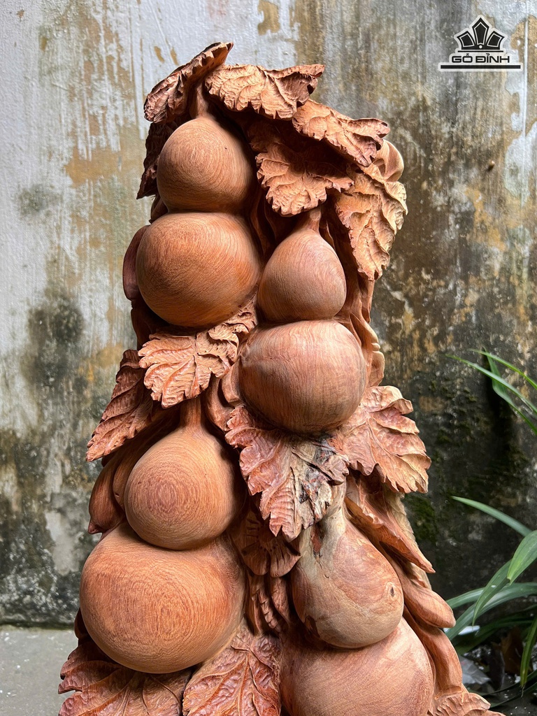 cay-ho-lo-go-huong-cao-76-ngang-46-sau-20-cm-17kg-478623