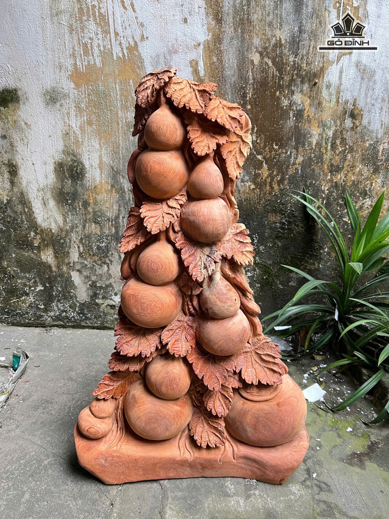 cay-ho-lo-go-huong-cao-76-ngang-46-sau-20-cm-17kg-478624