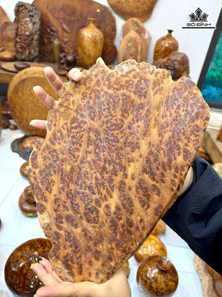 dien-phat-di-lac-go-nu-ngoc-am-kich-thuoc-36-24-3-cm-478645