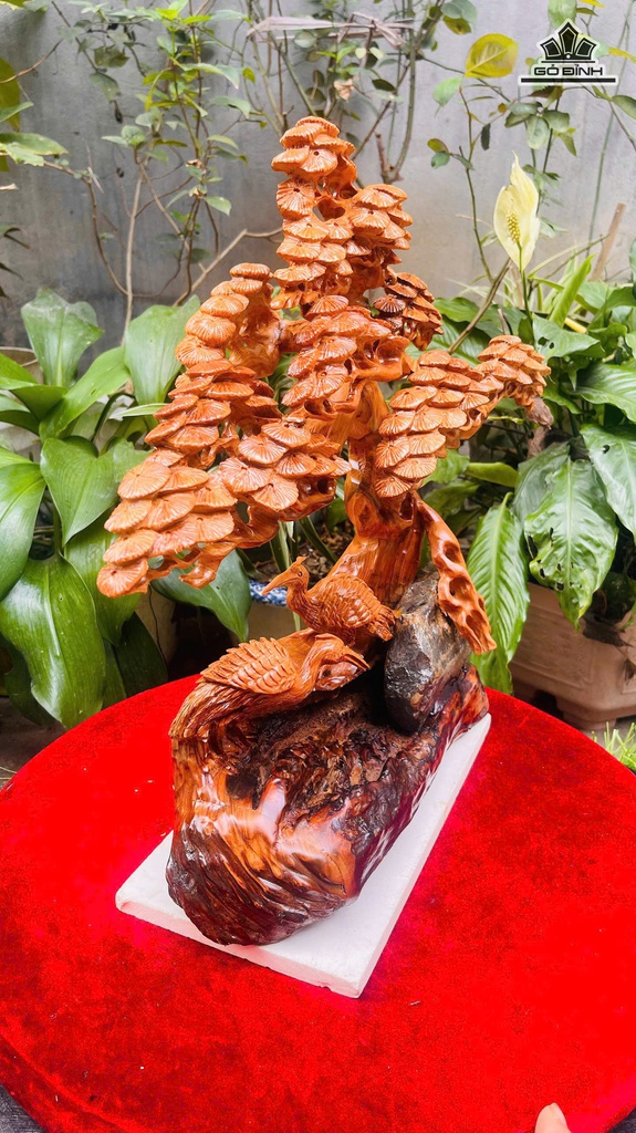 tung-hac-dien-nien-go-ngoc-am-cao-45-ngang-40-sau-18-cm-478747