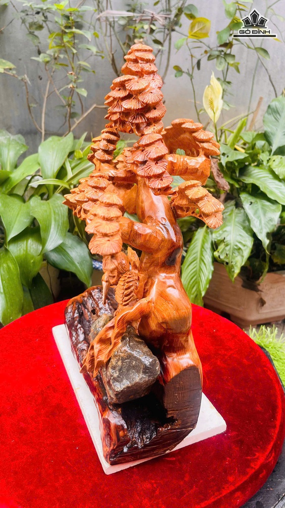 tung-hac-dien-nien-go-ngoc-am-cao-45-ngang-40-sau-18-cm-478749