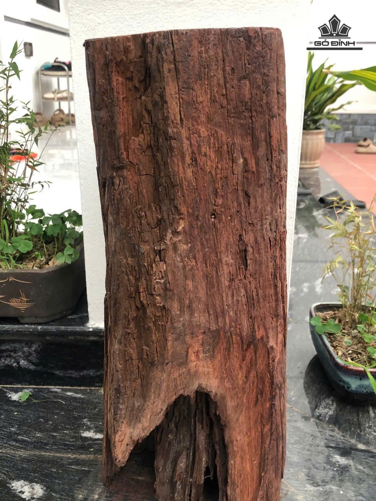 tuong-dat-ma-thien-go-trac-cao-55-ngang-27-sau-22-cm-478800