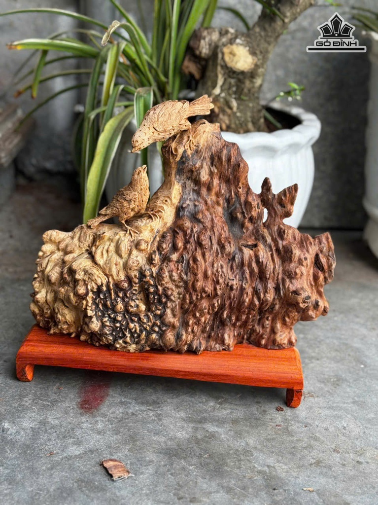 tuong-phu-the-chim-tri-go-nu-khao-cao-rieng-tuong-24-ngang-30-sau-8-cm-478840