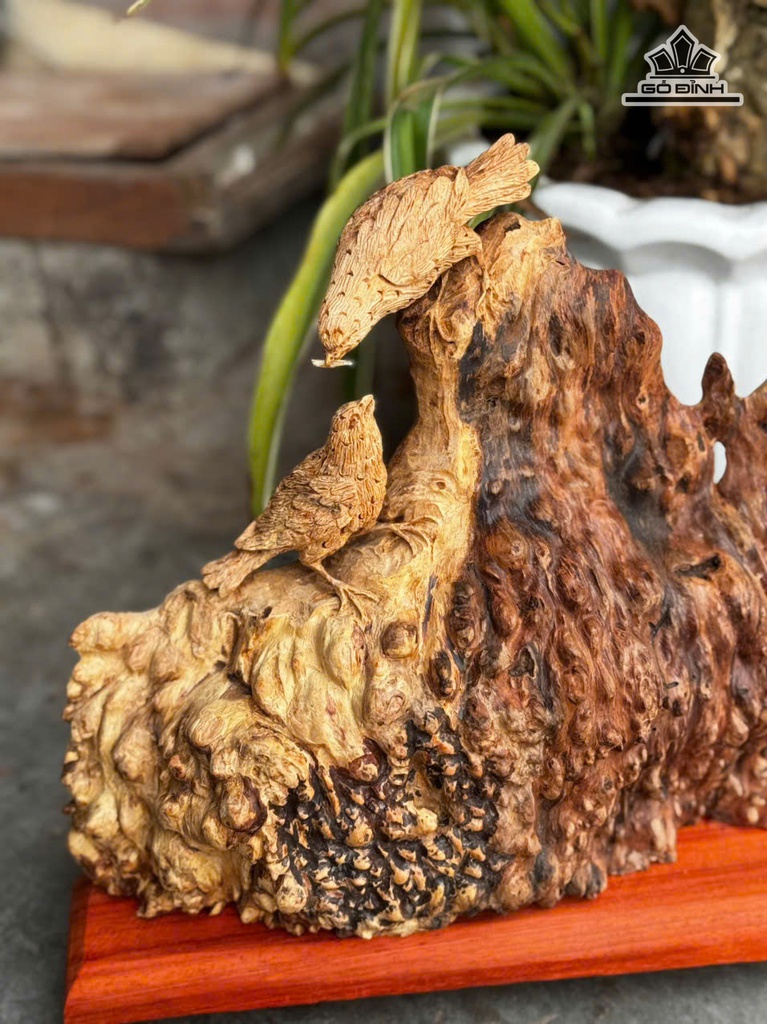 tuong-phu-the-chim-tri-go-nu-khao-cao-rieng-tuong-24-ngang-30-sau-8-cm-478842