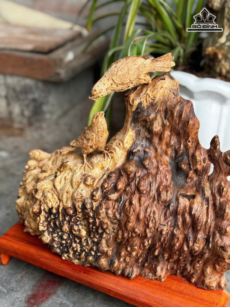 tuong-phu-the-chim-tri-go-nu-khao-cao-rieng-tuong-24-ngang-30-sau-8-cm-478843