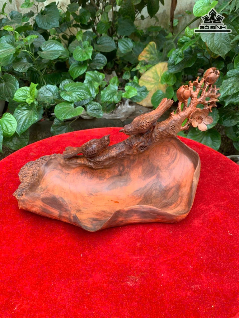 khay-tra-go-trac-cao-19-ngang-35-sau-16-cm-478881