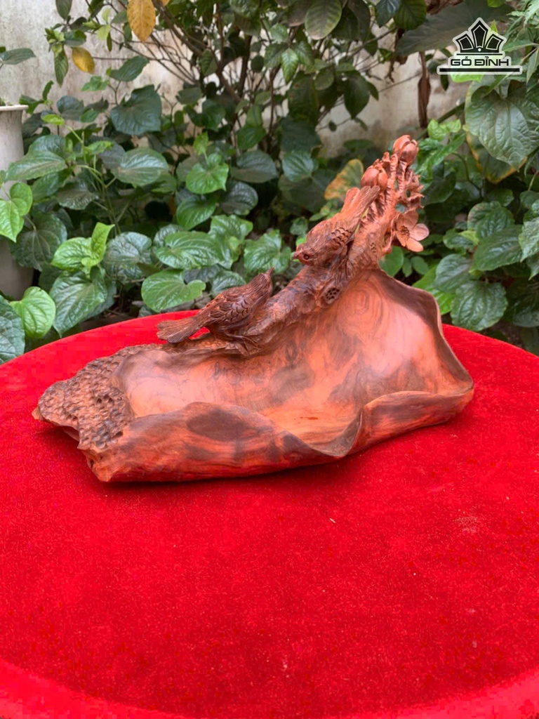 khay-tra-go-trac-cao-19-ngang-35-sau-16-cm-478884