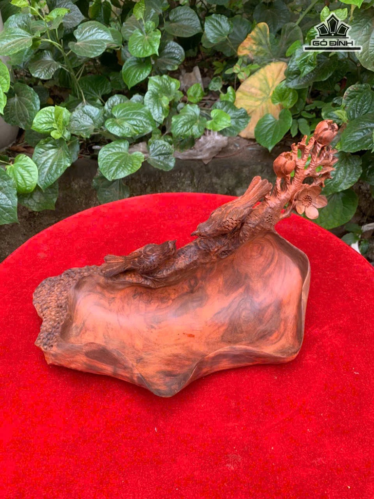 khay-tra-go-trac-cao-19-ngang-35-sau-16-cm-478885