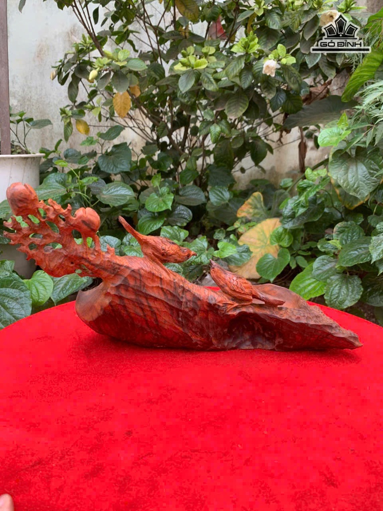 khay-tra-go-trac-cao-19-ngang-35-sau-16-cm-478886