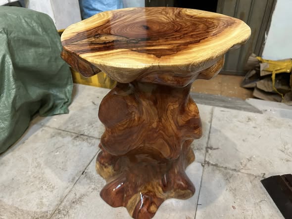 don-go-go-go-do-ca-te-cao-50-mat-43-41-cm-dc1267-478976