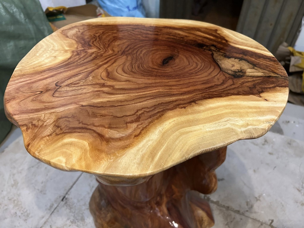 don-go-go-go-do-ca-te-cao-50-mat-43-41-cm-dc1267-478977