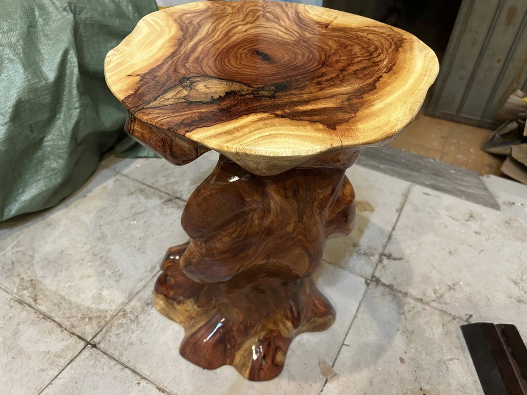 don-go-go-go-do-ca-te-cao-50-mat-43-41-cm-dc1267-478980