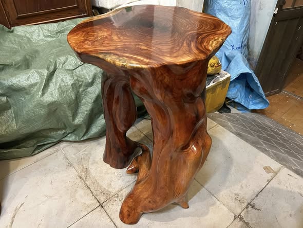 don-go-go-go-do-ca-te-cao-69-mat-46-43-cm-dc1557-478986