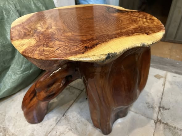 don-go-go-go-do-ca-te-cao-45-mat-45-41-cm-dc1062-479004