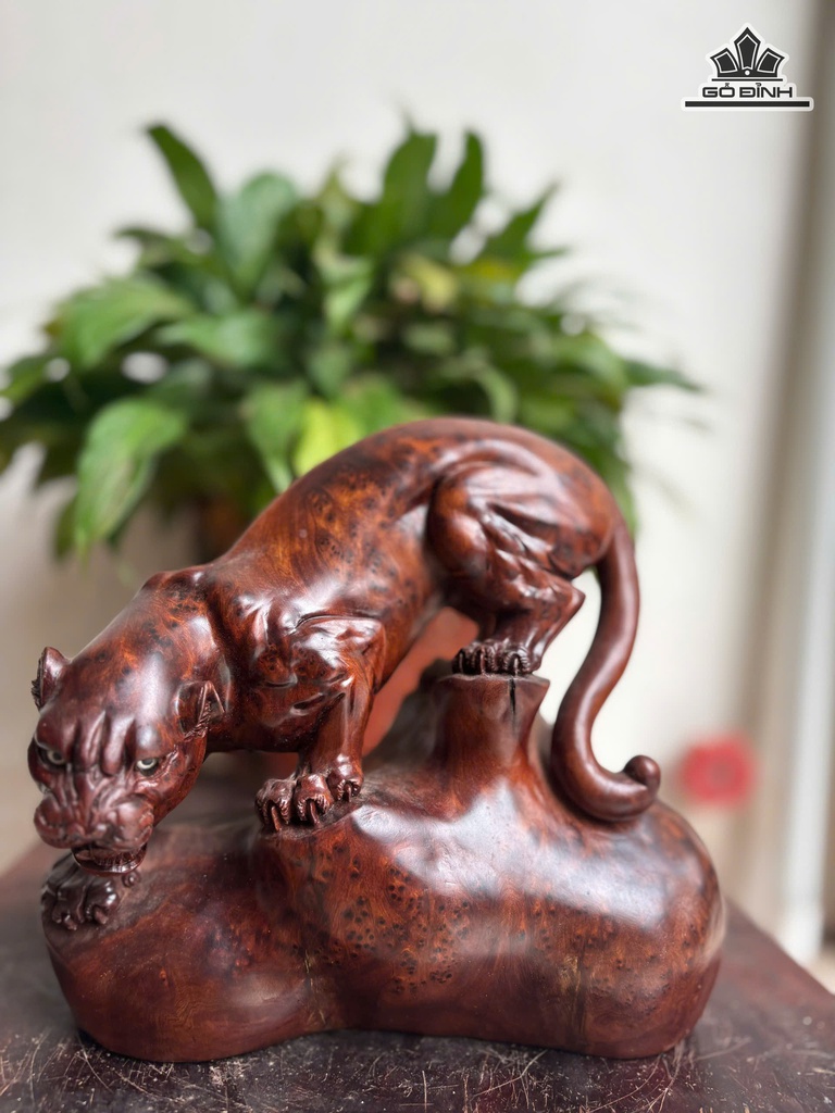 tuong-bao-san-moi-go-nu-ngoc-am-cao-18-ngang-19-sau-9-cm-479213