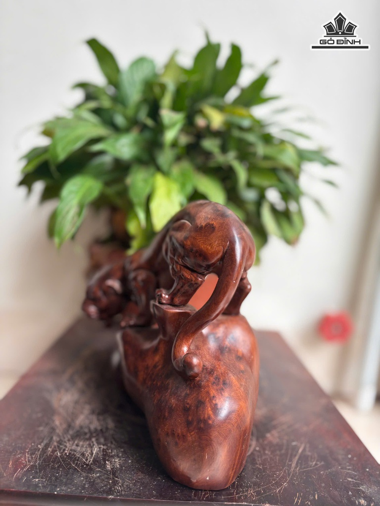 tuong-bao-san-moi-go-nu-ngoc-am-cao-18-ngang-19-sau-9-cm-479215