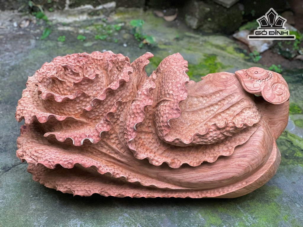 bap-cai-go-huong-cao-25-ngang-48-sau-24-cm-13kg-479432