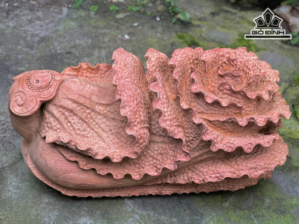 bap-cai-go-huong-cao-25-ngang-48-sau-24-cm-13kg-479433