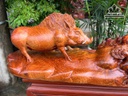 tuong-heo-rung-go-nu-chun-sun-huong-cao-21-ngang-61-sau-27-cm-479484