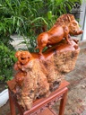 tuong-heo-rung-go-nu-chun-sun-huong-cao-48-ngang-50-sau-30-cm-479489