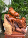 tuong-heo-rung-go-nu-chun-sun-huong-cao-48-ngang-50-sau-30-cm-479491