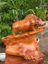 tuong-heo-rung-go-nu-huong-cao-42-ngang-42-sau-21-cm-479492