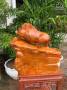 tuong-heo-rung-go-nu-huong-cao-42-ngang-42-sau-21-cm-479496