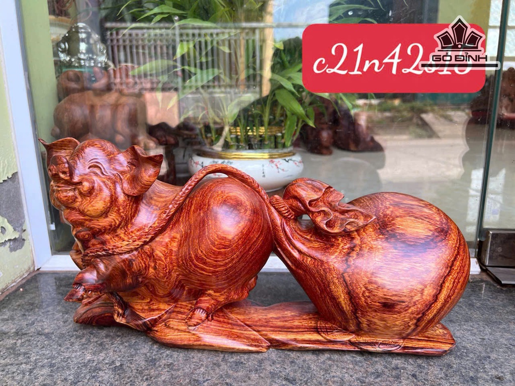 tuong-heo-go-cam-cao-21-ngang-42-sau-15-cm-480321