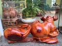 tuong-heo-go-cam-cao-21-ngang-42-sau-15-cm-480322