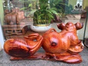 tuong-heo-go-cam-cao-21-ngang-42-sau-15-cm-480323