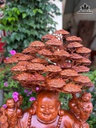 tuong-phat-di-lac-ngu-phuc-go-huong-cao-136-ngang-60-sau-60-cm-480381