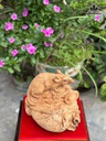tuong-chuot-phong-thuy-go-ngoc-am-cao-26-ngang-26-sau-25-cm-480389